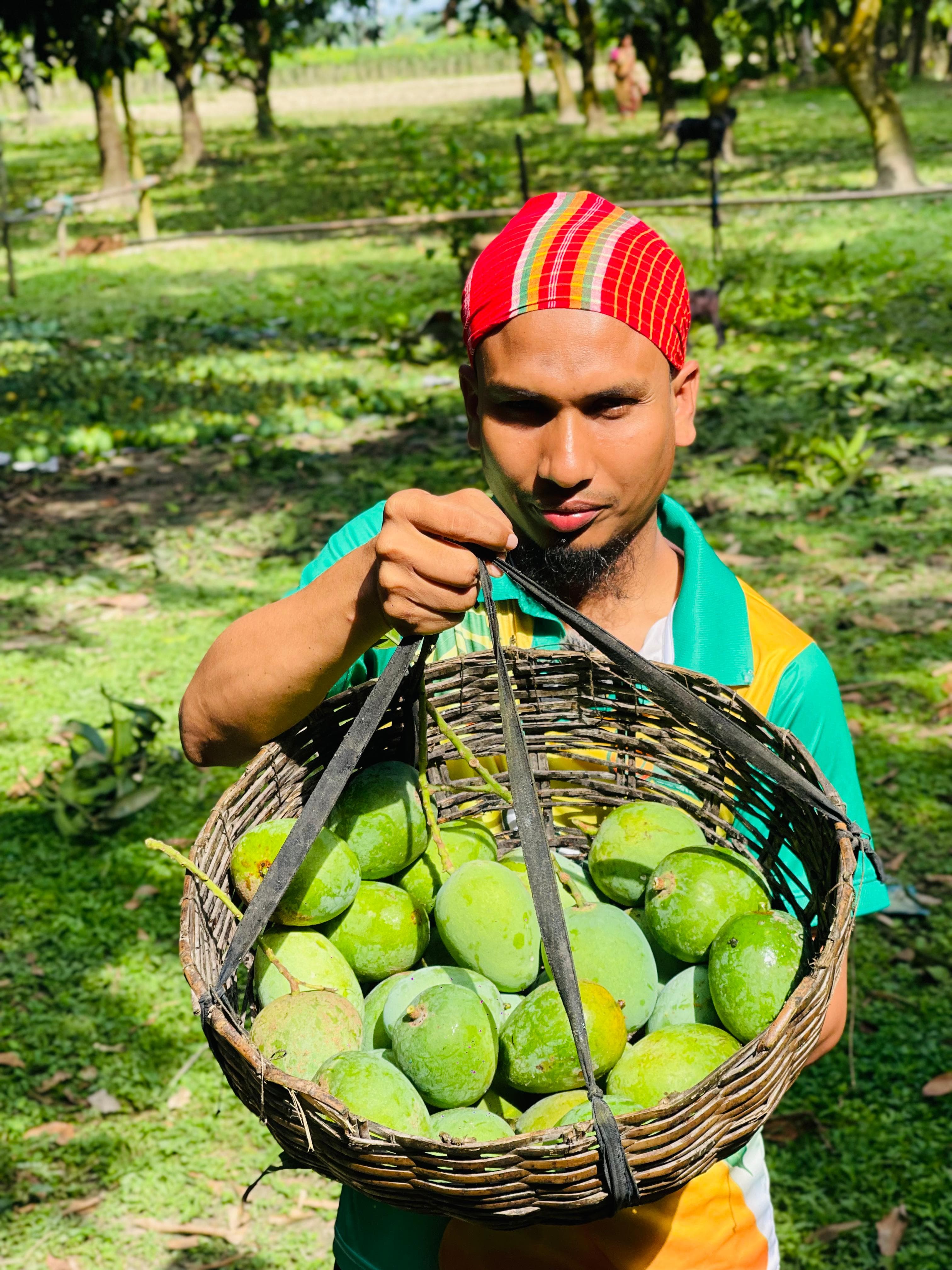 Langra Mango fresh