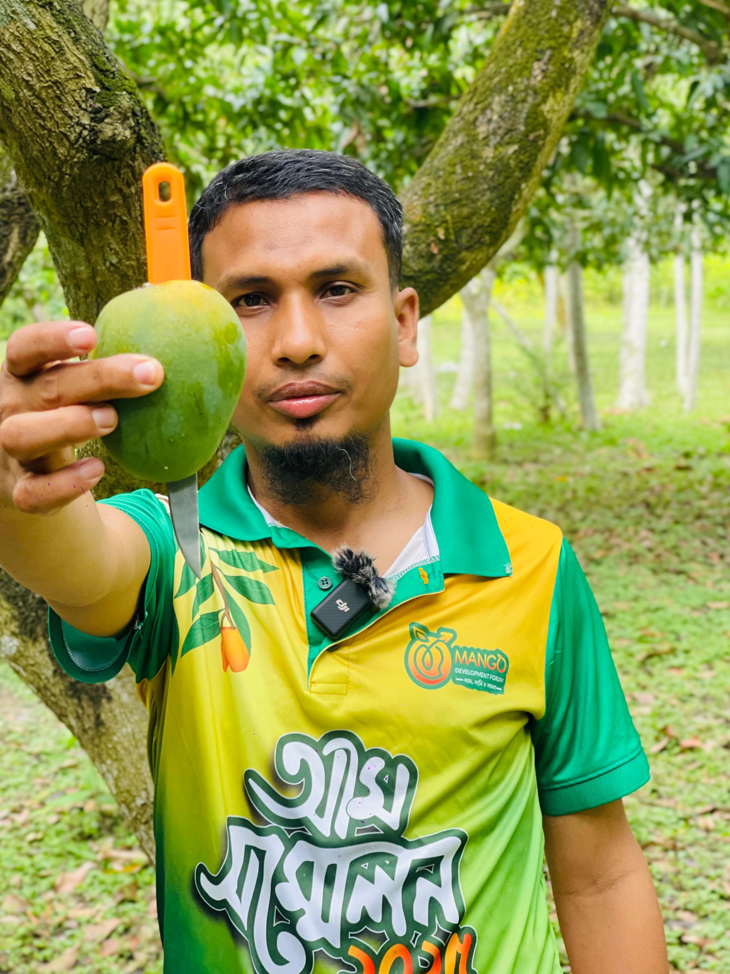 Langra Mango box